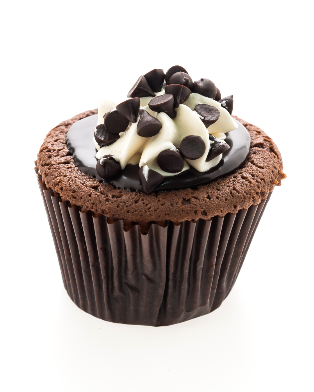 Choco Chip Cupcake Choco Chip Cupcake